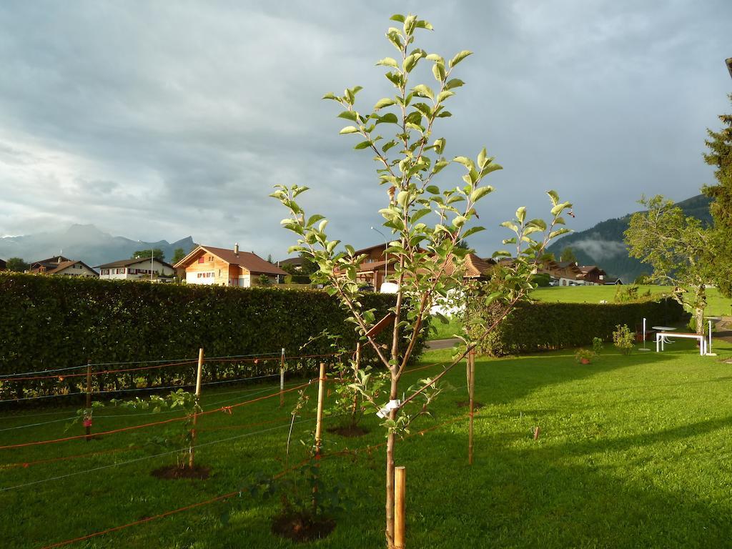 Hotel Restaurant Sunnmatt Aeschi Bei Spiez Exterior foto